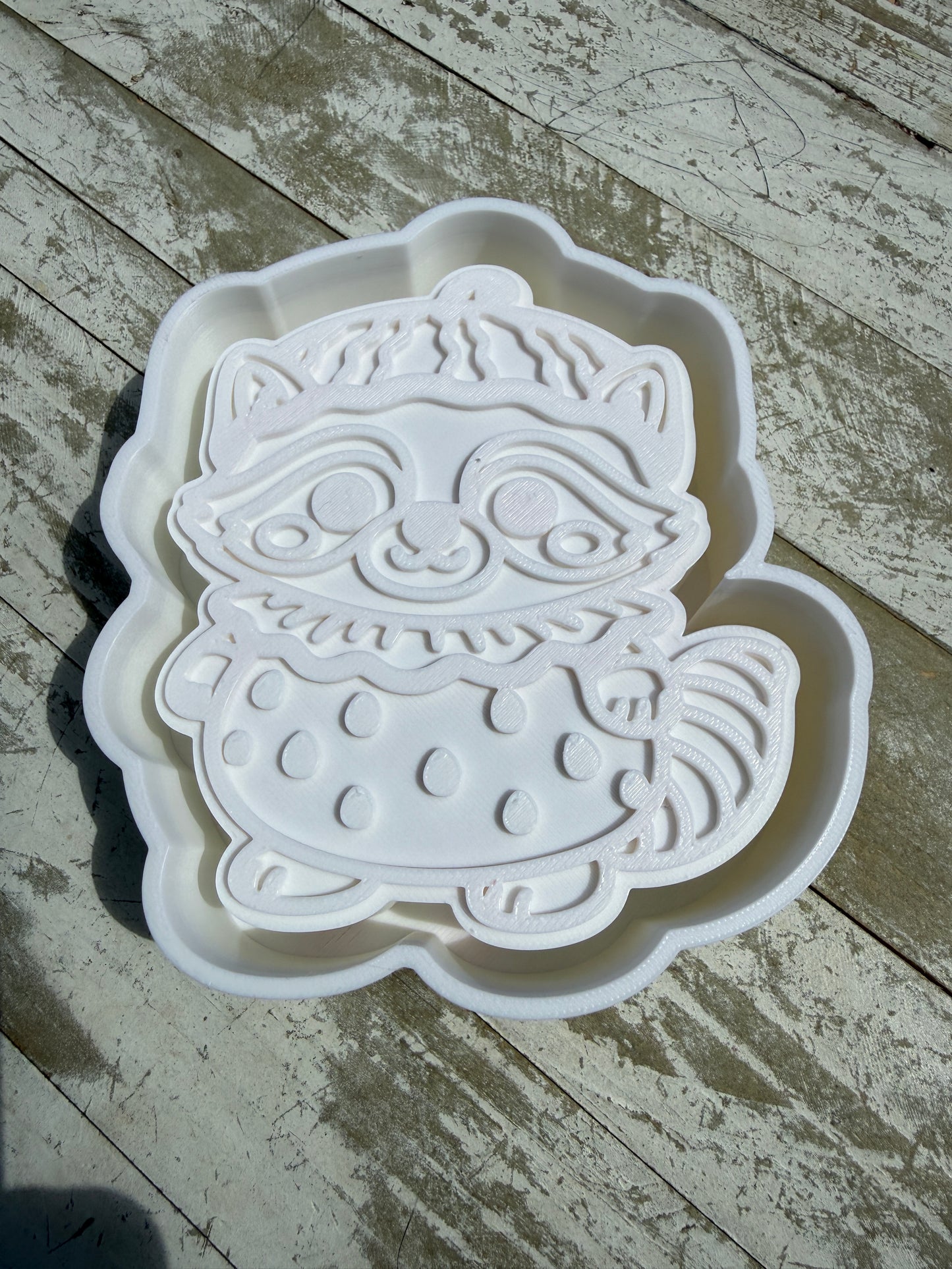 Raccoon watermelon mold