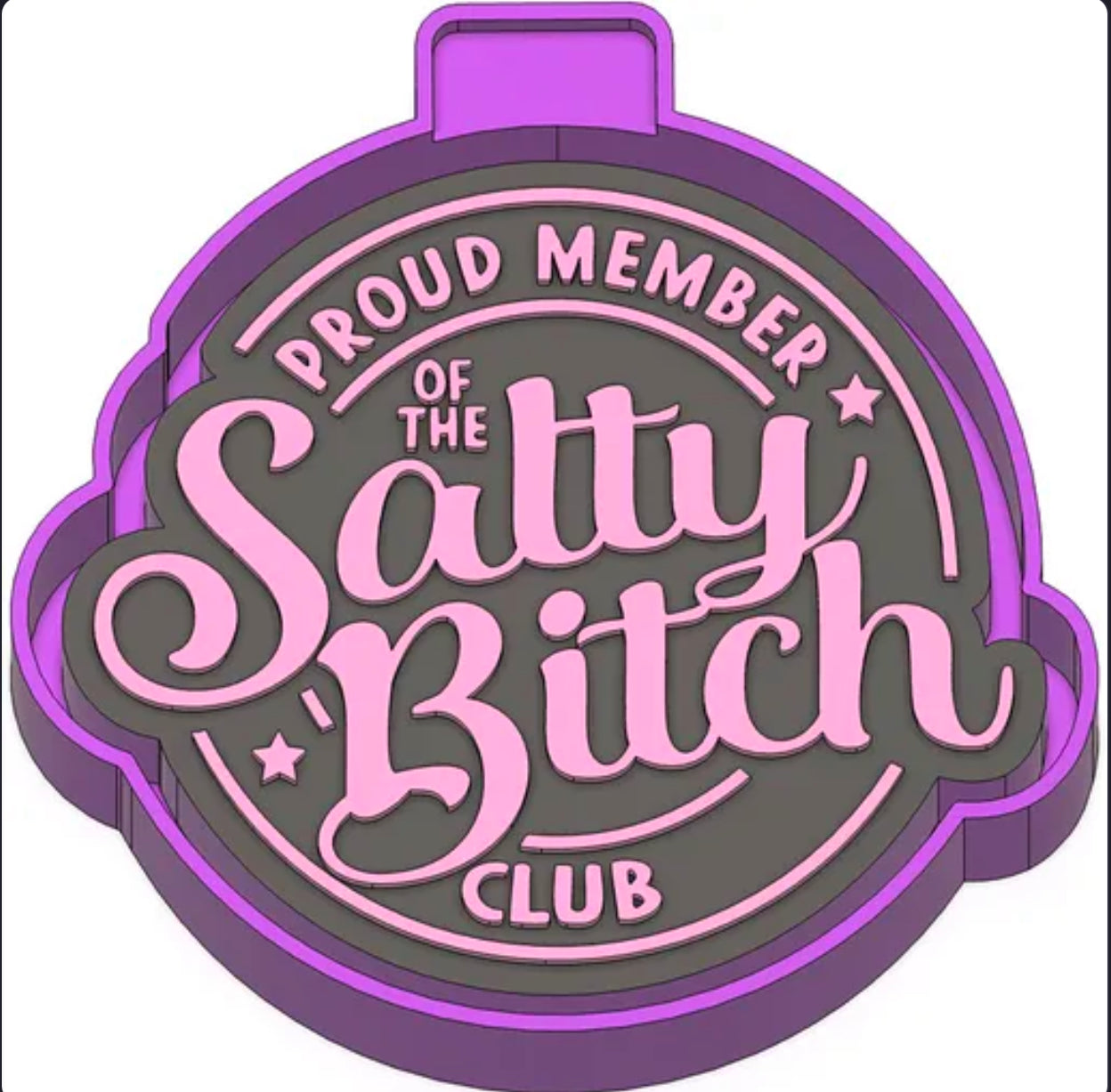Salty B*tch freshie mold
