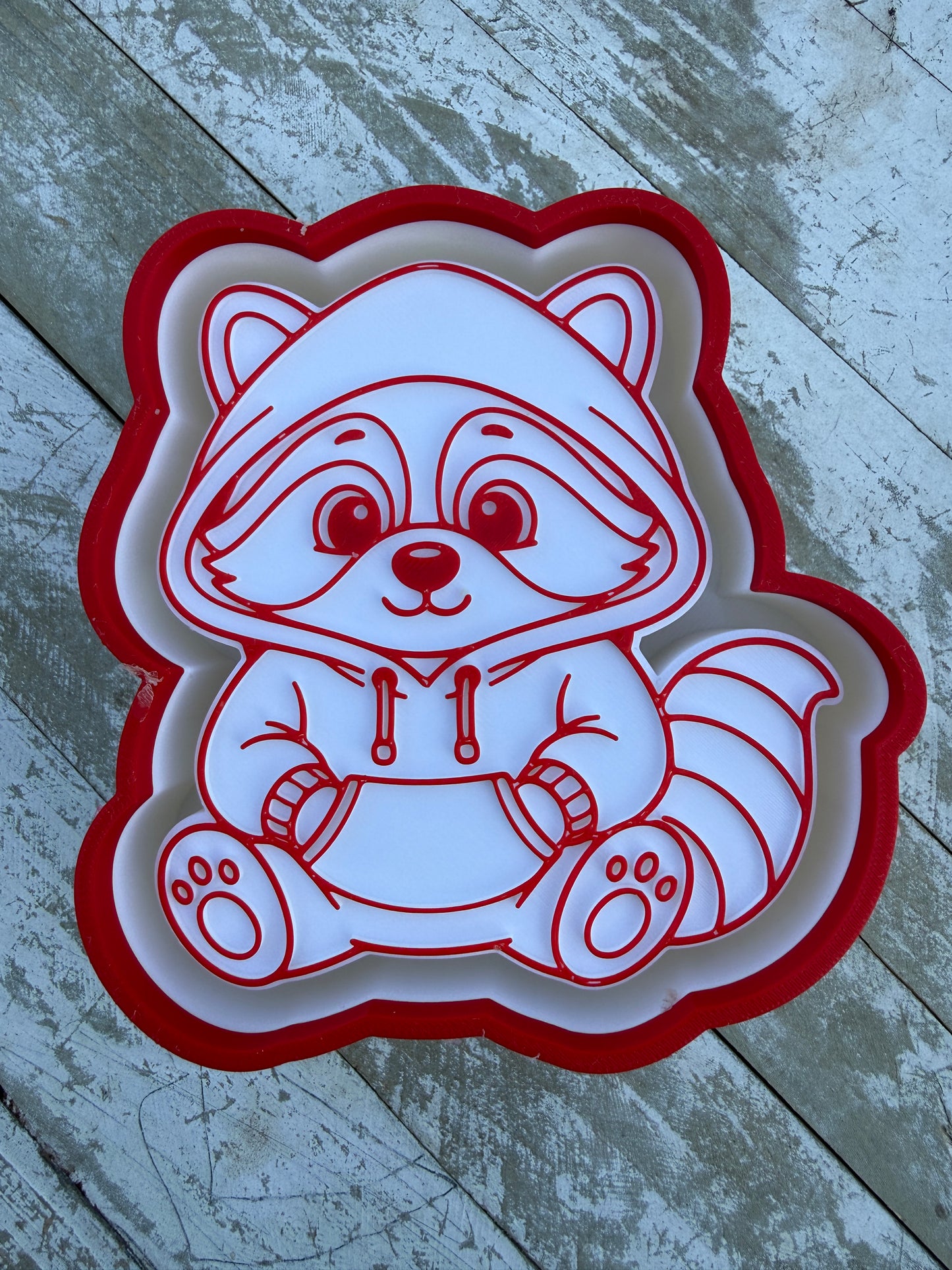 Raccoon in a hoodie mold