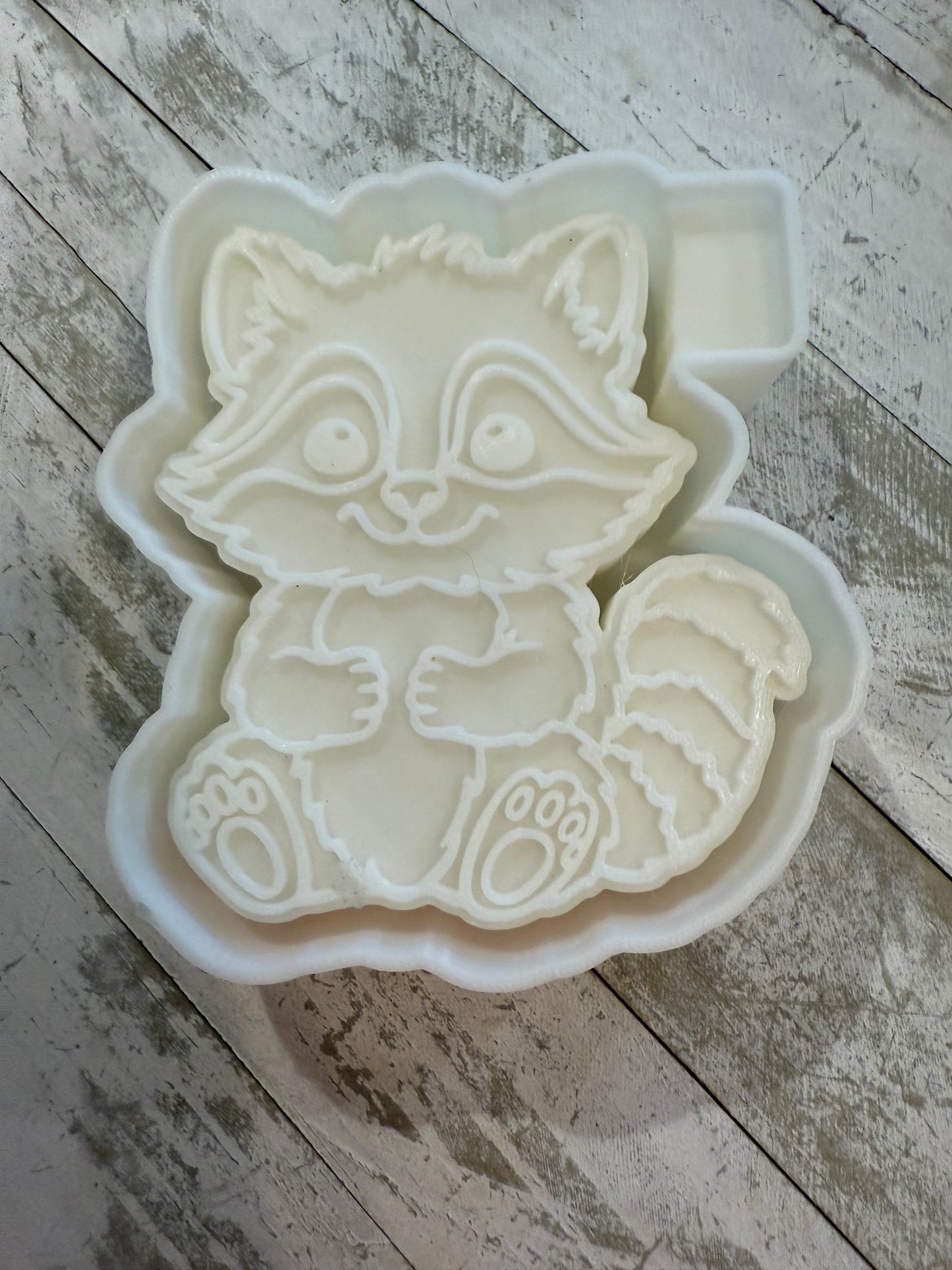 Raccoon freshie mold