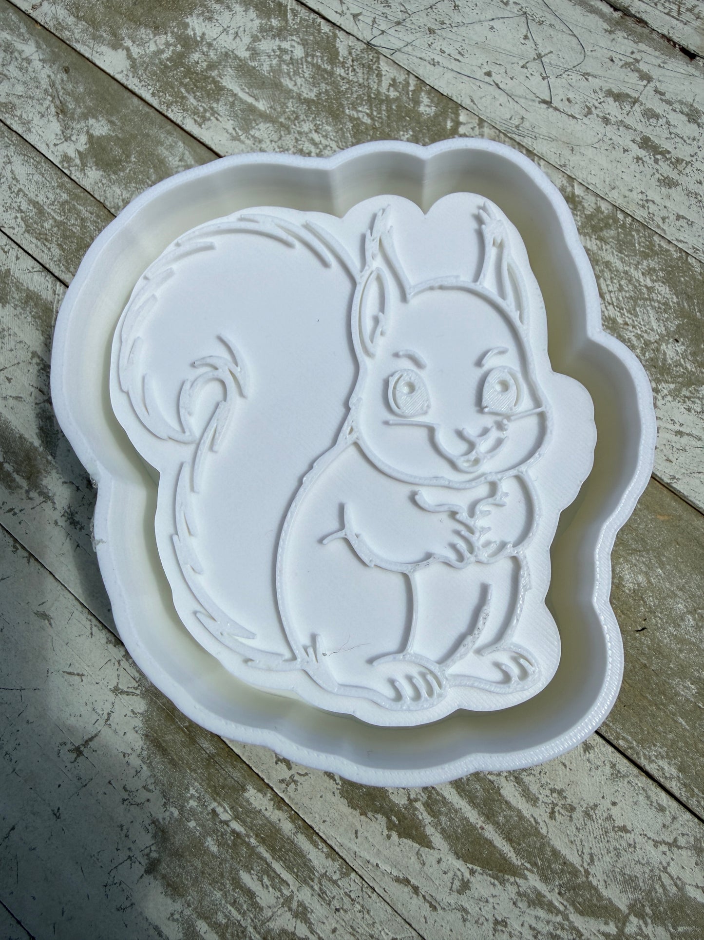Squirrel mold