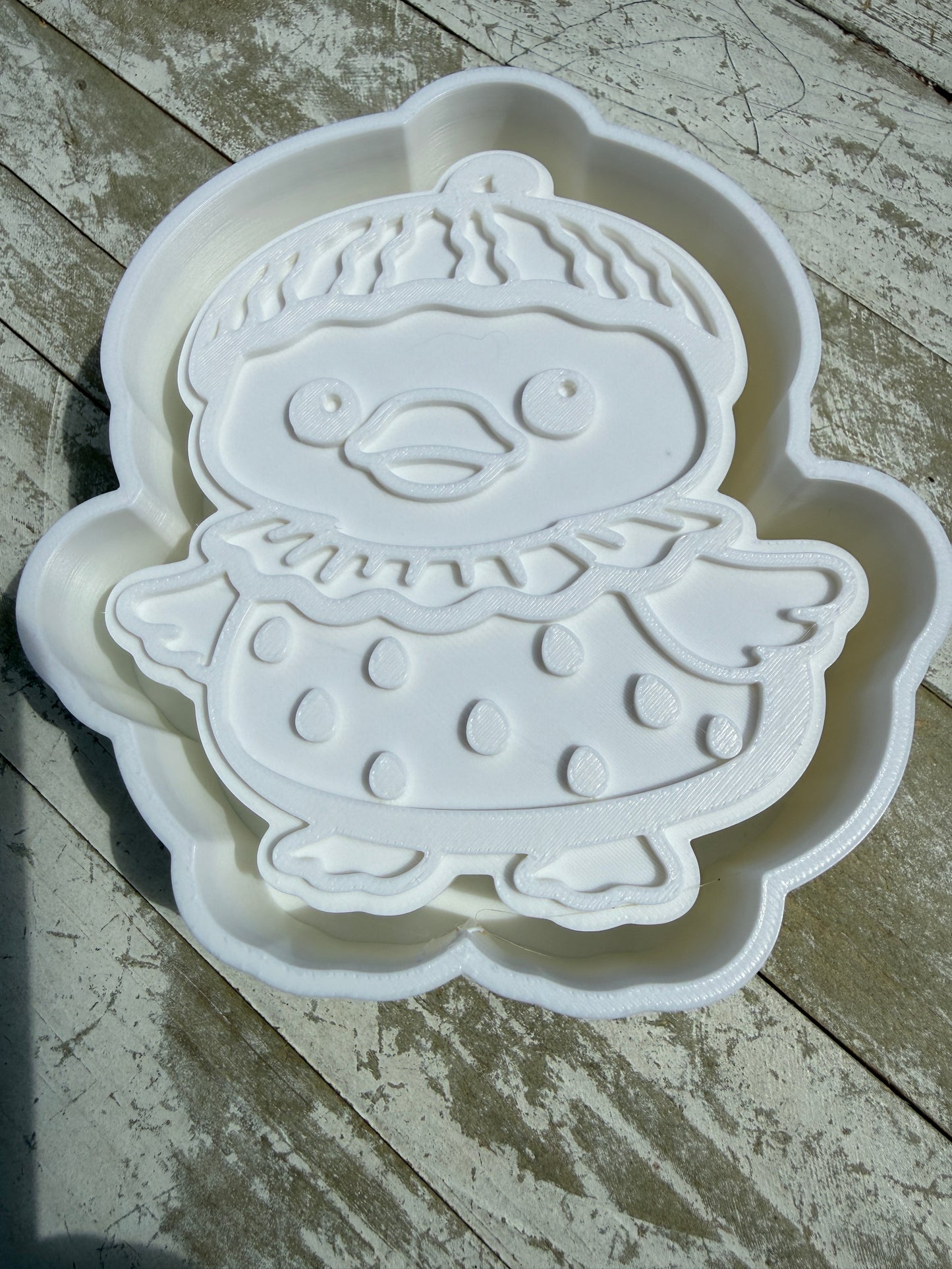 Duck in watermelon mold