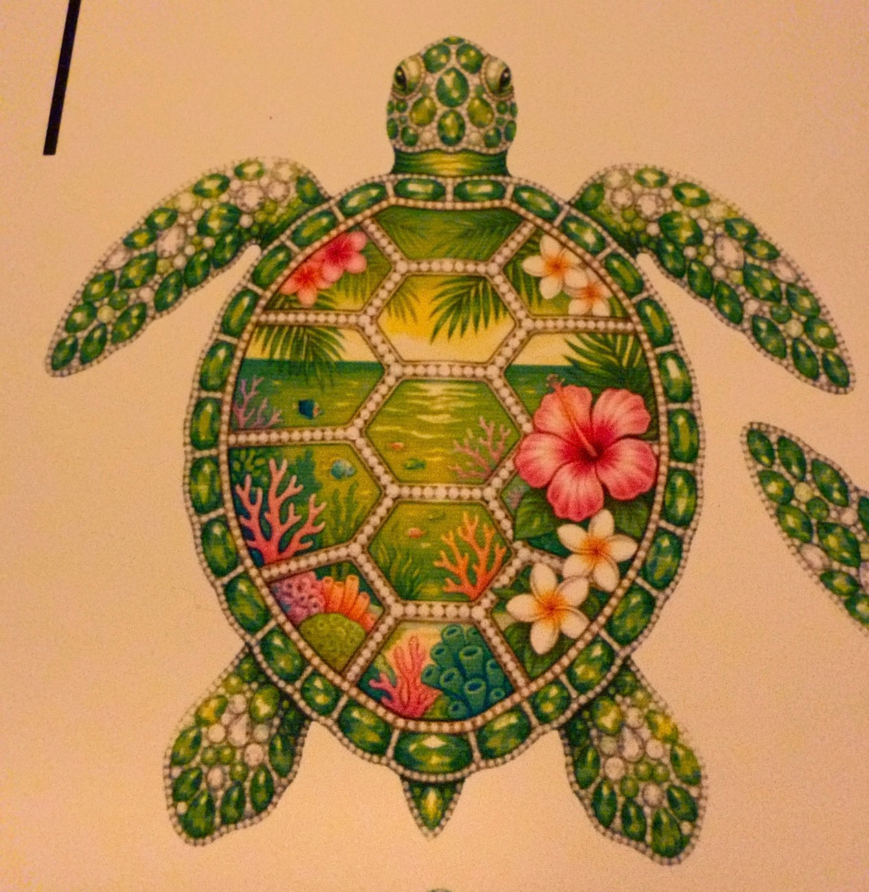 Sea turtle cardstock mold
