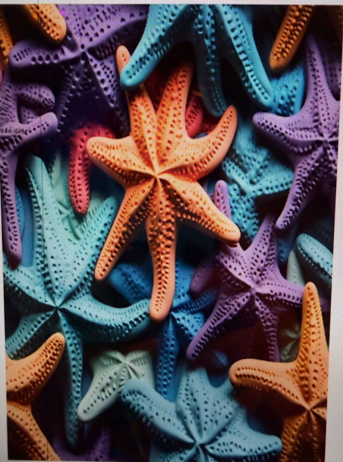 Starfish notebook