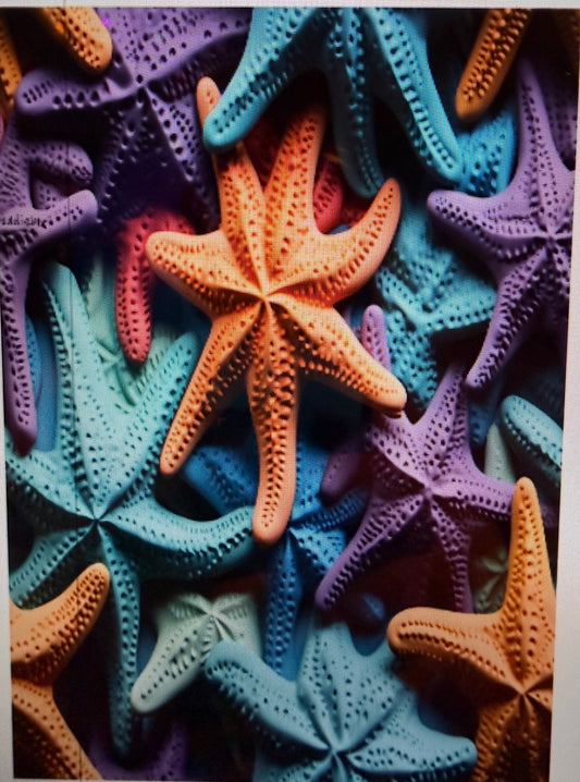 Starfish notebook
